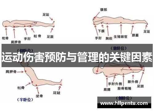 运动伤害预防与管理的关键因素